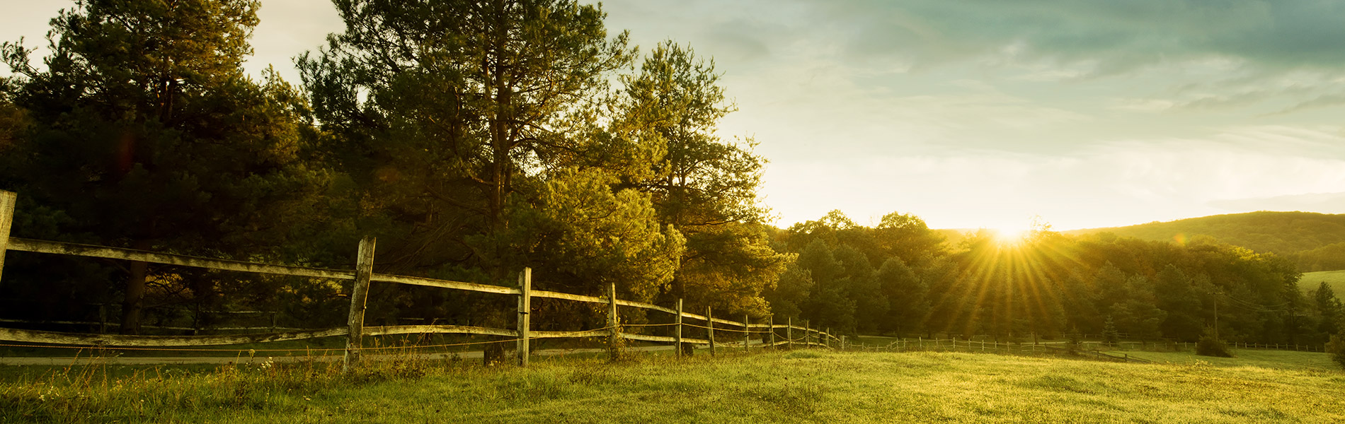 Fence